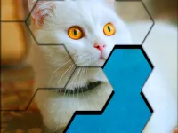 Blocks Hexa Jigsaw Puzzle™ image