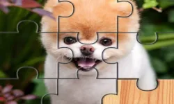 image bg Cute Dogs Jigsaw Puzlle
