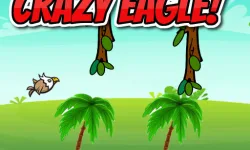 CRAZY EAGLE image