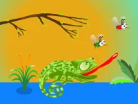 Hungry Chameleon image