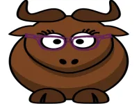 Bull Touch image