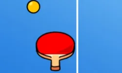 Endless Ping Pong image