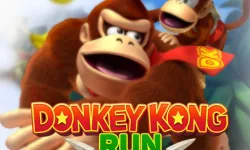 Donkey Kong Run image