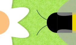 Beenvaders image
