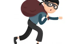 Thief.ro image