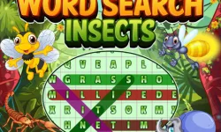 image bg Word Search Insects