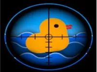 Duck Shoot image