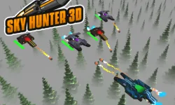 Sky Hunter 3D image
