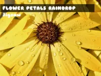 Flower Petals Raindrop Jigsaw image