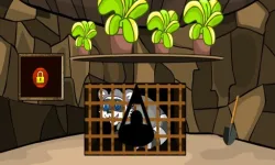 image bg Rescue The Raccoon