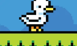 Duck Shift image