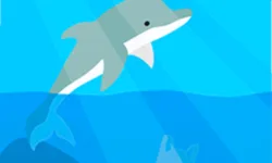 image bg Dolphin Life