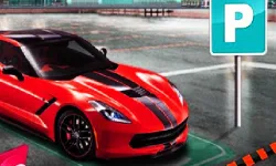 image bg No Driver Parking