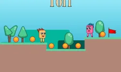 Tori image