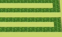 Cut The Grass image