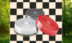 Classic Checkers: Forest image