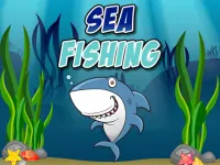 image bg Sea Fishing