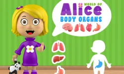 World of Alice Body Organs image