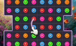 Bloom Crush image
