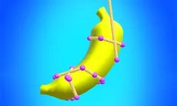 image bg Rope Unroll