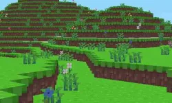 Block Craft image