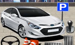 image bg Advance Parking Car