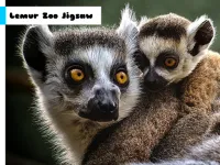 image bg Lemur Zoo Jigsaw