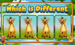 image bg Which Is Different Animal