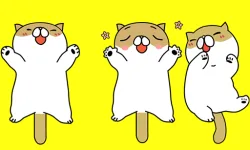 Tickling Cat image