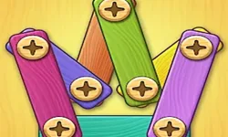 Screw Puzzle DIY image