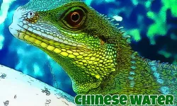 Chinese Water Dragon Jigsaw image