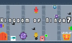 image bg Kingdom of Ninja 7