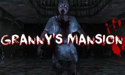 Grannys Mansion image