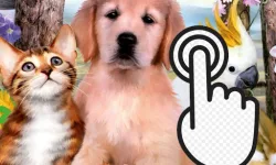Pets Clicker image
