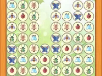 image bg Bugs Match