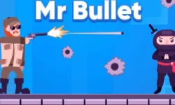 Mr Bullet image