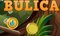 Bulica image