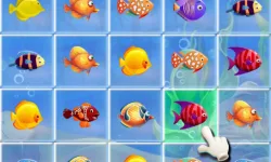 Fishing Puzzles image