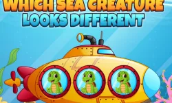 Which Sea Creature Looks Different image