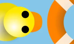Duck rescue boat image