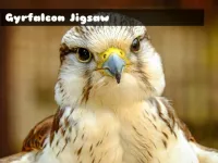 Gyrfalcon Jigsaw image