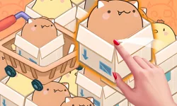 image bg Mart Puzzle Box Cat