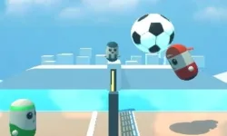 Pin Voleyballs image