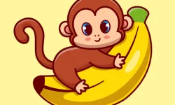 image bg Cartoon Animal Puzzle