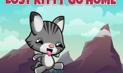 Lost Kitty Go Home image