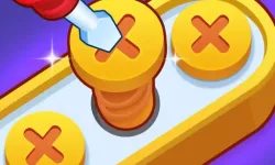 Screw Pin Jam Puzzle image