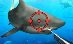 Hunter Underwater Spearfishing image