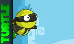 image bg Turtle