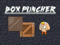 image bg Box Puncher