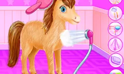 Zoo Animal Hotel image